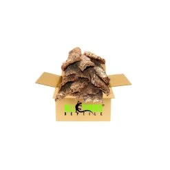ATR 10lb Box Of Bulk Assorted Flat Cork Bark * Request A Shipping Quote At Checkout