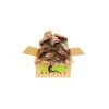 ATR 20lb Box Of Bulk Assorted Cork Bark (Flats) * Request A Shipping Quote At Checkout