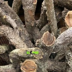 ATR BULK Cork Bark Logs 20 Lbs (Assorted Sizes) * Request A Shipping Quote At Checkout