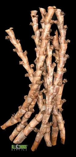 ATR Buriti Sticks (7 Per Pkg)