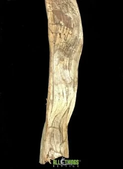 ATR Escada - Approx. 20"