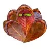 ATR INDIAN ALMOND LEAVES 7"-12" (CATAPPA) Dried Grade A 10 Pack