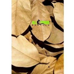 ATR JACKFRUIT LEAVES Dried Grade A 10 Pack