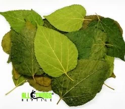 ATR Mullberry Leaves Dried Grade A 10 Pack