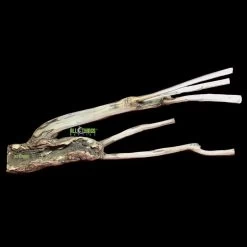 ATR Natural Tea Tree Perch (Branch) (Debarked) 20"-24"