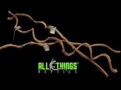 ATR Twisted Wood Vine Natural (Not Dyed) 3ft