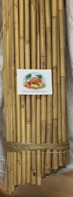 Bamboo Poles 24 Inch Length/3/4 Diam. Approx. 5 Per Bundle