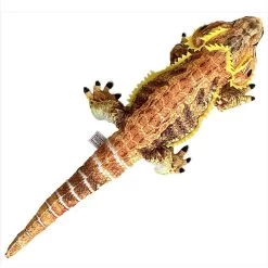 Bearded Dragon Stuffed Toy Plushie 24" -Repti Life Shop all things reptile bearded dragon stuffed toy plushie 24 47945.1695166292