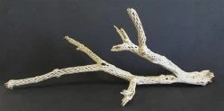 CHOLLA BRANCH SANDBLASTED 18" - 24"