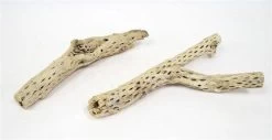 CHOLLA STICKS SANDBLASTED 12" - 16" Approx.