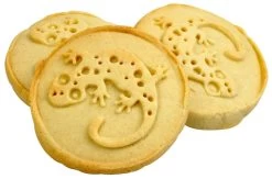 Cookie Stamp "Gecko" -Repti Life Shop all things reptile cookie stamp gecko 57082.1620674129