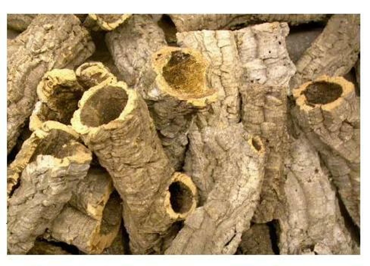 Cork Bark Rounds Bulk (20 Pounds) See Shipping Notes Below 1 Cork Bark Rounds Bulk (20 Pounds) See Shipping Notes Below