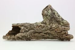 Cork Round XXX-Large 24" To 30" Long, 5" To 8" Diameter