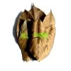 ATR Jack Fruit Big Leaves 10-pack