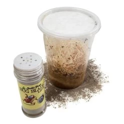 Josh's Frogs Bug Blade Mite Control Powder (3.25 Oz) -Repti Life Shop all things reptile joshs frogs bug blade mite control powder 3.25 oz 90023.1714719087