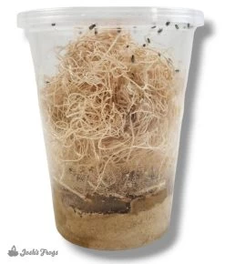 Josh's Frogs Hydei Fruit Fly Media | 1.5 Lbs / 1.35 Quarts (makes 10 Fruit Fly Cultures) -Repti Life Shop all things reptile joshs frogs hydei fruit fly media or 1.5 lbs 1.35 quarts makes 10 fruit fly cultures 34574.1714199846