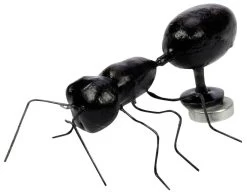 Magnet "Ant" In Cricket Box -Repti Life Shop all things reptile magnet ant in cricket box 63480.1620673907