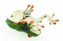 Magnet "Red-Eyed Tree Frog" In Cricket Box 5 Magnet "Red-Eyed Tree Frog" In Cricket Box -Repti Life Shop all things reptile magnet red eyed tree frog in cricket box 65832.1620672694