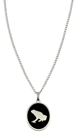 Necklace "Frog"