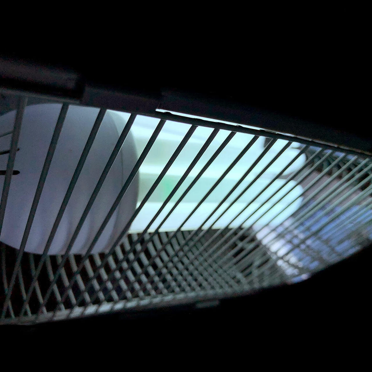 Arcadia Bird PureSun Compact Kit 2.4% UVB 16 Arcadia Bird PureSun Compact Kit 2.4% UVB - Image 16