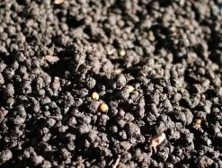 ARCADIA EARTHMIX 10Ltr Bag -Repti Life Shop arcadia arcadia earthmix 10ltr bag 43351.1710495629