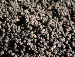 Arcadia Earthmix (ARID) 5Ltr Bag -Repti Life Shop arcadia arcadia earthmix arid 5ltr bag 31328.1642531346