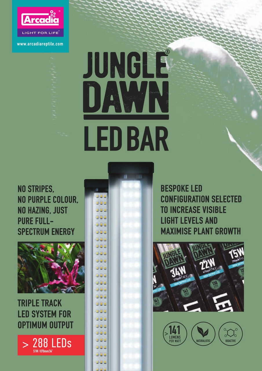 Arcadia Jungle Dawn LED Bar - 34" 51 Watts 3 Arcadia Jungle Dawn LED Bar - 34" 51 Watts - Image 3