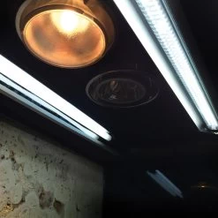 Arcadia ThermalZoo Pro (Dual Pro T5 6%) -Repti Life Shop arcadia arcadia thermalzoo pro dual pro t5 6percent 10105.1636497381