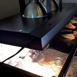 Arcadia ThermalZoo Pro (Dual Pro T5 6%) -Repti Life Shop arcadia arcadia thermalzoo pro dual pro t5 6percent 35446.1636497404