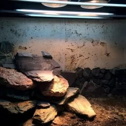 Arcadia ThermalZoo Pro (Pro T5 UVB 6% / JD LED 34W) 24 Arcadia ThermalZoo Pro (Pro T5 UVB 6% / JD LED 34W) -Repti Life Shop arcadia arcadia thermalzoo pro pro t5 uvb 6percent jd led 34w 59142.1677784540