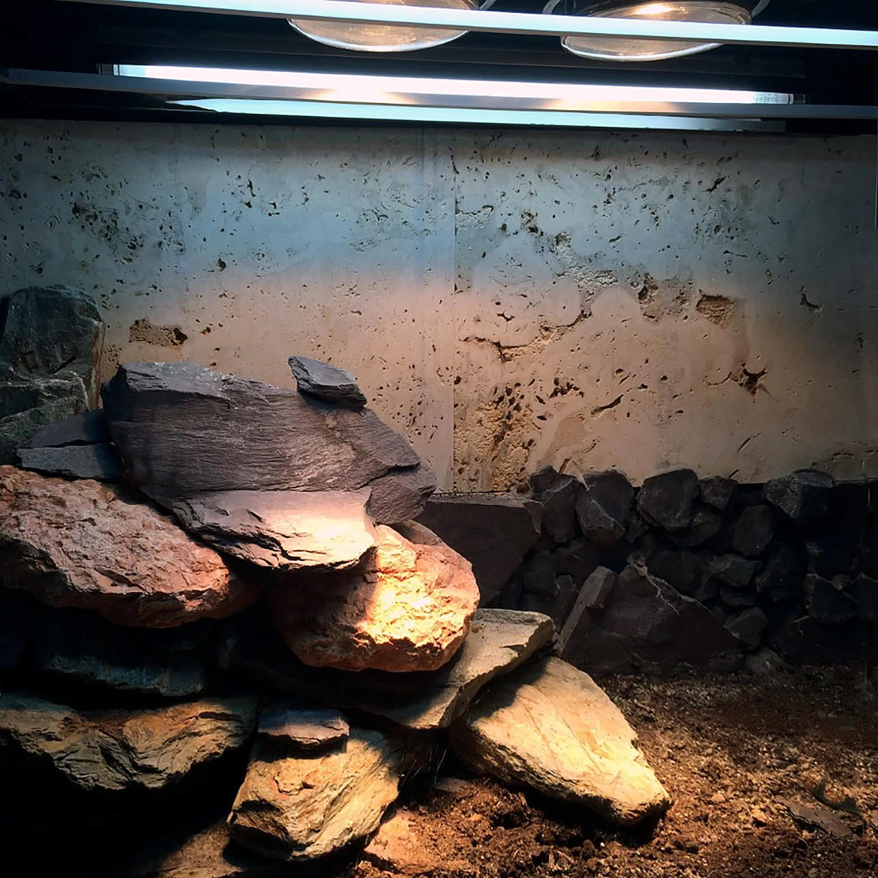 Arcadia ThermalZoo Pro (Pro T5 UVB 6% / JD LED 34W) 10 Arcadia ThermalZoo Pro (Pro T5 UVB 6% / JD LED 34W) - Image 10