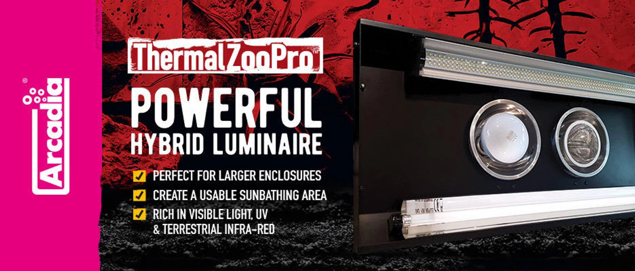 Arcadia ThermalZoo Pro (Pro T5 UVB 6% / JD LED 34W) 14 Arcadia ThermalZoo Pro (Pro T5 UVB 6% / JD LED 34W) - Image 14