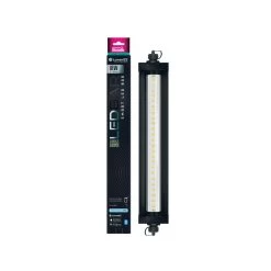 Arcadia LumenIZE Jungle Dawn LED Bar, 290mm (12"), 18 Watt, US -Repti Life Shop arcadia lumenize jungle dawn led bar 290mm 12 18 watt us 02272.1702055652