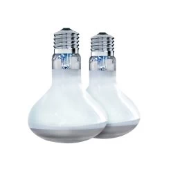 Arcadia Solar Basking Floodlight, 100w Twin Pack 5 Arcadia Solar Basking Floodlight, 100w Twin Pack -Repti Life Shop arcadia solar basking floodlight 100w twin pack 28521.1689107599