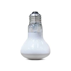 Arcadia Solar Basking Floodlight, 50w -Repti Life Shop arcadia solar basking floodlight 50w 80884.1677784092