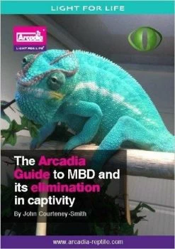 The Arcadia Guide To MBD