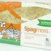 Besgrow SpagMoss Premium Sphagnum Moss (8L/100g Compressed)