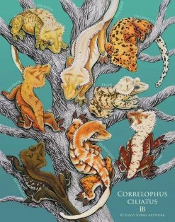 Crested Geckos Print By Emily Burke