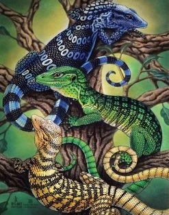 Tree Monitors Print By Emily Burke