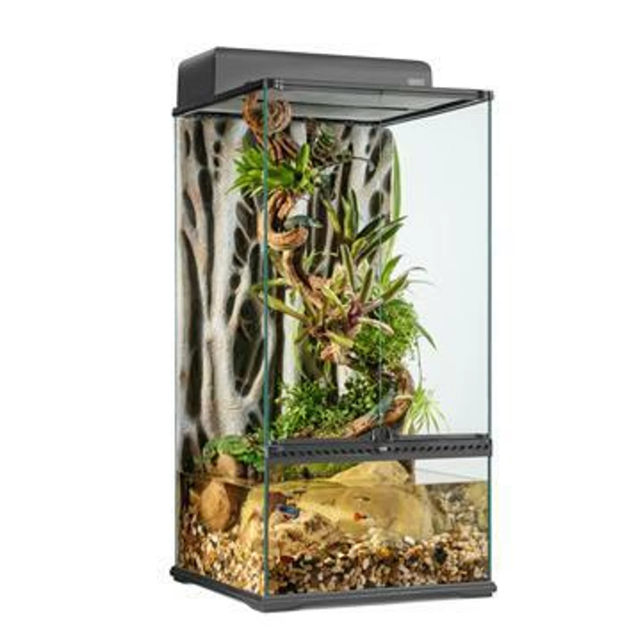 EXO TERRA ADVANCED PALUDARIUM / TERRARIUM - MINI X-TALL (12 X 12 X 24”) 1 EXO TERRA ADVANCED PALUDARIUM / TERRARIUM - MINI X-TALL (12 X 12 X 24”)