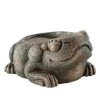 Exo Terra Aztec Frog Water Dish - 40 Ml