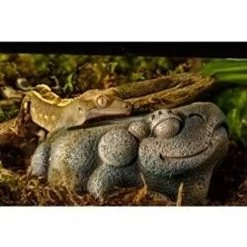 Exo Terra Aztec Frog Water Dish - 40 Ml -Repti Life Shop exo terra exo terra aztec frog water dish 40 ml 36420.1666376321