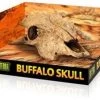 Exo Terra Buffalo Skull Hide