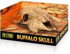 Exo Terra Buffalo Skull Hide