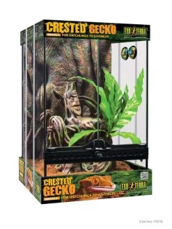 Exo Terra Crested Gecko Kit Terrarium - 30 X 30 X 45cm, 12in X 12in X 18in