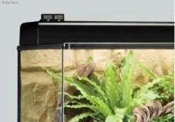 Exo Terra Digital Thermo-Hygro Combo -Repti Life Shop exo terra exo terra digital thermo hygro combo 96877.1620677493