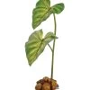 Exo Terra Dripper Plant (Small 14")