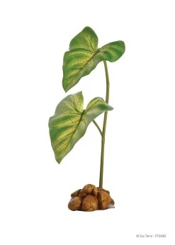 Exo Terra Dripper Plant (Small 14")