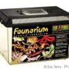 Exo Terra Faunarium (Medium)