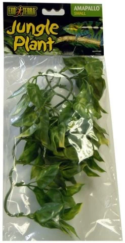 Exo Terra Hanging Amapallo Large 20"